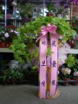 경상북도경산시 꽃배달, 경상북도경산시 꽃집, 경상북도 경산시 경안로 201 꽃집, (중방동) 꽃집, 경상북도 경산시 경안로 201 꽃배달, (중방동)... 
