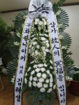 꽃집, 교육청길 45-3 꽃집, 전라남도 해남군 해남읍 읍사무소길 17 꽃배달, 교육청길 45-3 꽃배달 - 민들레꽃방 플라워119꽃배달서비스 - 생일, 개업... 