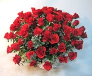 부산광역시남구 꽃배달, 부산광역시남구 꽃집, 부산광역시 남구 지게골로 67 꽃집, (문현동) 꽃집, 부산광역시 남구 지게골로 67 꽃배달, (문현동)... 