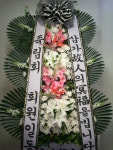 대구광역시달서구 꽃배달, 대구광역시달서구 꽃집, 대구광역시 달서구 월곡로94길 39 꽃집, (월성동) 꽃집, 대구광역시 달서구 월곡로94길 39... 