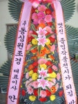 충청남도부여군 꽃배달, 충청남도부여군 꽃집, 충청남도 부여군 부여읍 삼충로 201-2 꽃집, 꽃집, 충청남도 부여군 부여읍 삼충로 201-2 꽃배달... 