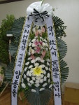 해남읍 교육청길 45-3 꽃집, 해남 민들레꽃방 꽃집, 전라남도 해남군 해남읍 교육청길 45-3 꽃배달, 해남 민들레꽃방 꽃배달 - 민들레꽃방... 
