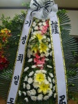 꽃집, 교육청길 45-3 꽃집, 전라남도 해남군 해남읍 읍사무소길 17 꽃배달, 교육청길 45-3 꽃배달 - 민들레꽃방 플라워119꽃배달서비스 - 생일, 개업... 