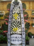 경상북도안동시 꽃배달, 경상북도안동시 꽃집, 경북 안동시 태화동 꽃집, 248-40 꽃집, 경북 안동시 태화동 꽃배달, 248-40 꽃배달 - 안동팔팔꽃화... 