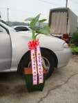 이전, 승진, 생일, 취업, 조문, 쾌유, 격려, 사랑고백, 감사, 축하, 사과, 꽃선물, 꽃바구니, 꽃다발, 생일축하꽃배달, 개업꽃, 개업꽃배달... 
