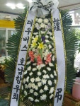 꽃집, 교육청길 45-3 꽃집, 전라남도 해남군 해남읍 읍사무소길 17 꽃배달, 교육청길 45-3 꽃배달 - 민들레꽃방 플라워119꽃배달서비스 - 생일, 개업... 
