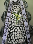 전라북도고창군 꽃배달, 전라북도고창군 꽃집, 전라북도 고창군 고창읍 중거리당산로 84 꽃집, 꽃집, 전라북도 고창군 고창읍 중거리당산로 84... 