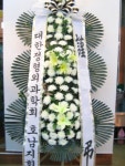 광주광역시서구 꽃배달, 광주광역시서구 꽃집... 전국꽃배달서비스,맞춤꽃배달,꽃, 꽃집... 격려, 사랑고백, 감사, 축하, 사과, 꽃선물, 꽃바구니... 