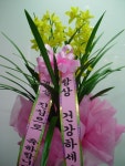 경기도안산시 상록구 꽃배달, 경기도안산시 상록구 꽃집, 경기도 안산시 상록구 충장로 384-2 꽃집, (이동) 꽃집, 경기도 안산시 상록구 충장로 384... 