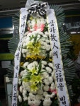 꽃배달, 에덴화원 꽃배달 - 진도에덴꽃화원 플라워119꽃배달서비스 - 생일, 개업, 축하, 근조 꽃배달 전문 카테고리 꽃다발 , 꽃배달, 꽃선물... 