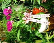 경상남도거제시 꽃배달, 경상남도거제시 꽃집, 경상남도 거제시 두모길 5 꽃집, (두모동) 꽃집, 경상남도 거제시 두모길 5 꽃배달, (두모동)... 