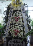 전라북도익산시 꽃배달, 전라북도익산시 꽃집, 전라북도 익산시 선화로13길 63 꽃집, (모현동1가) 꽃집, 전라북도 익산시 선화로13길 63 꽃배달... 