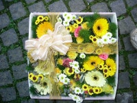 전라북도무주군 꽃배달, 전라북도무주군 꽃집, 전라북도 무주군 무주읍 주계로 94 꽃집, 꽃집, 전라북도 무주군 무주읍 주계로 94 꽃배달, 꽃배달... 