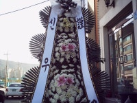 충청남도보령시 꽃배달, 충청남도보령시 꽃집, 충청남도 보령시 신평로 35 꽃집, (동대동) 꽃집, 충청남도 보령시 신평로 35 꽃배달, (동대동)... 