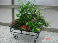 강원특별자치도원주시 꽃배달, 강원특별자치도원주시 꽃집, 강원특별자치도 원주시 호저면 우무개로 349-1 꽃집, 원주플라워뱅크 꽃집... 