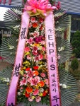 대구광역시달서구 꽃배달, 대구광역시달서구 꽃집, 대구광역시 달서구 월곡로94길 39 꽃집, (월성동) 꽃집, 대구광역시 달서구 월곡로94길 39... 