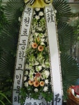경상북도안동시 꽃배달, 경상북도안동시 꽃집, 경북 안동시 태화동 꽃집, 248-40 꽃집, 경북 안동시 태화동 꽃배달, 248-40 꽃배달 - 안동팔팔꽃화... 