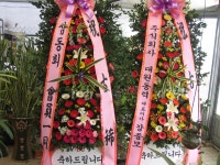 경상북도경산시 꽃배달, 경상북도경산시 꽃집, 경상북도 경산시 하양읍 대학로298길 10 꽃집, 대경화원 꽃집, 경상북도 경산시 하양읍... 