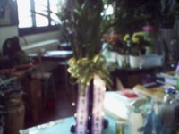 충청남도보령시 꽃배달, 충청남도보령시 꽃집, 충청남도 보령시 신평로 35 꽃집, (동대동) 꽃집, 충청남도 보령시 신평로 35 꽃배달, (동대동)... 