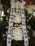 제주특별자치도서귀포시 꽃배달, 제주특별자치도서귀포시 꽃집, 제주특별자치도 서귀포시 중앙로150번길 4-1 꽃집, (제주전지역배송)(동홍동)... 