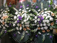 경기도포천시 꽃배달, 경기도포천시 꽃집, 경기도 포천시 영중면 양문로 100 꽃집, 꽃집, 경기도 포천시 영중면 양문로 100 꽃배달, 꽃배달 - 포천... 