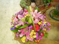 꽃집, 교육청길 45-3 꽃집, 전라남도 해남군 해남읍 읍사무소길 17 꽃배달, 교육청길 45-3 꽃배달 - 민들레꽃방 플라워119꽃배달서비스 - 생일, 개업... 