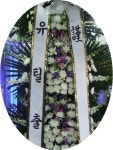 제주특별자치도서귀포시 꽃배달, 제주특별자치도서귀포시 꽃집, 제주특별자치도 서귀포시 중앙로150번길 4-1 꽃집, (제주전지역배송)(동홍동)... 