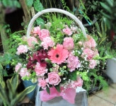 부산광역시남구 꽃배달, 부산광역시남구 꽃집, 부산광역시 남구 지게골로 67 꽃집, (문현동) 꽃집, 부산광역시 남구 지게골로 67 꽃배달, (문현동)... 