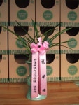 경기도과천시 꽃배달 꽃집 - 도자기랑나무랑 플라워119꽃배달서비스... 화병, 포도주, 와인, 결혼, 약혼, 아기탄생, 전시회, 연주회, 개업, 이전... 