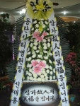 전라북도익산시 꽃배달, 전라북도익산시 꽃집, 전라북도 익산시 선화로13길 63 꽃집, (모현동1가) 꽃집, 전라북도 익산시 선화로13길 63 꽃배달... 
