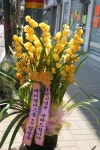 경상남도통영시 꽃배달, 경상남도통영시 꽃집, 경상남도 통영시 무전7길 186 꽃집, 금자빌딩 102호(무전동) 꽃집, 경상남도 통영시 무전7길 186... 