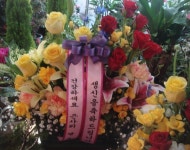 전라북도익산시 꽃배달, 전라북도익산시 꽃집, 전라북도 익산시 선화로13길 63 꽃집, (모현동1가) 꽃집, 전라북도 익산시 선화로13길 63 꽃배달... 