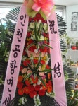 전라북도익산시 꽃배달, 전라북도익산시 꽃집, 전라북도 익산시 선화로13길 63 꽃집, (모현동1가) 꽃집, 전라북도 익산시 선화로13길 63 꽃배달... 