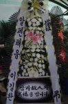 전라북도익산시 꽃배달, 전라북도익산시 꽃집, 전라북도 익산시 선화로13길 63 꽃집, (모현동1가) 꽃집, 전라북도 익산시 선화로13길 63 꽃배달... 