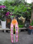 경상북도문경시 꽃배달, 경상북도문경시 꽃집, 경상북도 문경시 당교7길 3-4 꽃집, (모전동) 꽃집, 경상북도 문경시 당교7길 3-4 꽃배달, (모전동)... 