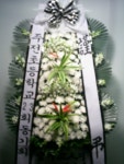 꽃집, (월성동) 꽃집, 대구광역시 달서구 월곡로94길 39 꽃배달, (월성동) 꽃배달 - 대구한국플라워 플라워119꽃배달서비스 - 생일, 개업, 축하... 
