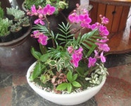 전라북도익산시 꽃배달, 전라북도익산시 꽃집, 전라북도 익산시 선화로13길 63 꽃집, (모현동1가) 꽃집, 전라북도 익산시 선화로13길 63 꽃배달... 