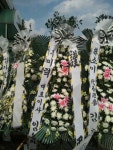 경기도양평군 꽃배달, 경기도양평군 꽃집, 경기도 양평군 양평읍 마유산로 71 꽃집, 꽃집, 경기도 양평군 양평읍 마유산로 71 꽃배달, 꽃배달... 
