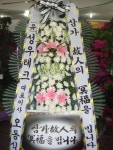 전라북도익산시 꽃배달, 전라북도익산시 꽃집, 전라북도 익산시 선화로13길 63 꽃집, (모현동1가) 꽃집, 전라북도 익산시 선화로13길 63 꽃배달... 