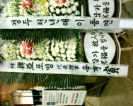 경상남도거제시 꽃배달, 경상남도거제시 꽃집, 경상남도 거제시 두모길 5 꽃집, (두모동) 꽃집, 경상남도 거제시 두모길 5 꽃배달, (두모동)... 