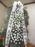 꽃집, 교육청길 45-3 꽃집, 전라남도 해남군 해남읍 읍사무소길 17 꽃배달, 교육청길 45-3 꽃배달 - 민들레꽃방 플라워119꽃배달서비스 - 생일, 개업... 