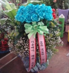 전라북도익산시 꽃배달, 전라북도익산시 꽃집, 전라북도 익산시 선화로13길 63 꽃집, (모현동1가) 꽃집, 전라북도 익산시 선화로13길 63 꽃배달... 