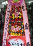 전라북도익산시 꽃배달, 전라북도익산시 꽃집, 전라북도 익산시 선화로13길 63 꽃집, (모현동1가) 꽃집, 전라북도 익산시 선화로13길 63 꽃배달... 