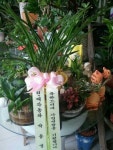 경기도용인시 처인구 꽃배달, 경기도용인시 처인구 꽃집, 경기도 용인시 처인구 포곡읍 포곡로118번길 9 꽃집, 꽃집, 경기도 용인시 처인구... 