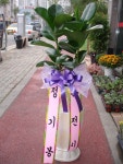 광주광역시광산구 꽃배달, 광주광역시광산구 꽃집, 광주광역시 광산구 수등로76번길 40 꽃집, 아름마을대방노블랜드아파트 상가-104(신가동... 