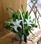 부산광역시남구 꽃배달, 부산광역시남구 꽃집, 부산광역시 남구 지게골로 67 꽃집, (문현동) 꽃집, 부산광역시 남구 지게골로 67 꽃배달, (문현동)... 