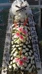 전라남도보성군 꽃배달, 전라남도보성군 꽃집, 전라남도 보성군 조성면 수풍길 6-3 꽃집, 보성예당화원 꽃집, 전라남도 보성군 조성면 수풍길 6-3... 