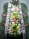 대구광역시달서구 꽃배달, 대구광역시달서구 꽃집, 대구광역시 달서구 월곡로94길 39 꽃집, (월성동) 꽃집, 대구광역시 달서구 월곡로94길 39... 