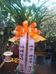 전라북도익산시 꽃배달, 전라북도익산시 꽃집, 전라북도 익산시 선화로13길 63 꽃집, (모현동1가) 꽃집, 전라북도 익산시 선화로13길 63 꽃배달... 