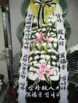 안계면 안계시장길 53-5 꽃집, 꽃집, 경상북도 의성군 안계면... 화분관엽, 난, 동양란, 서양란, 화환, 근조화환, 축하화환, 쥬얼리, 케잌, 샴페인... 